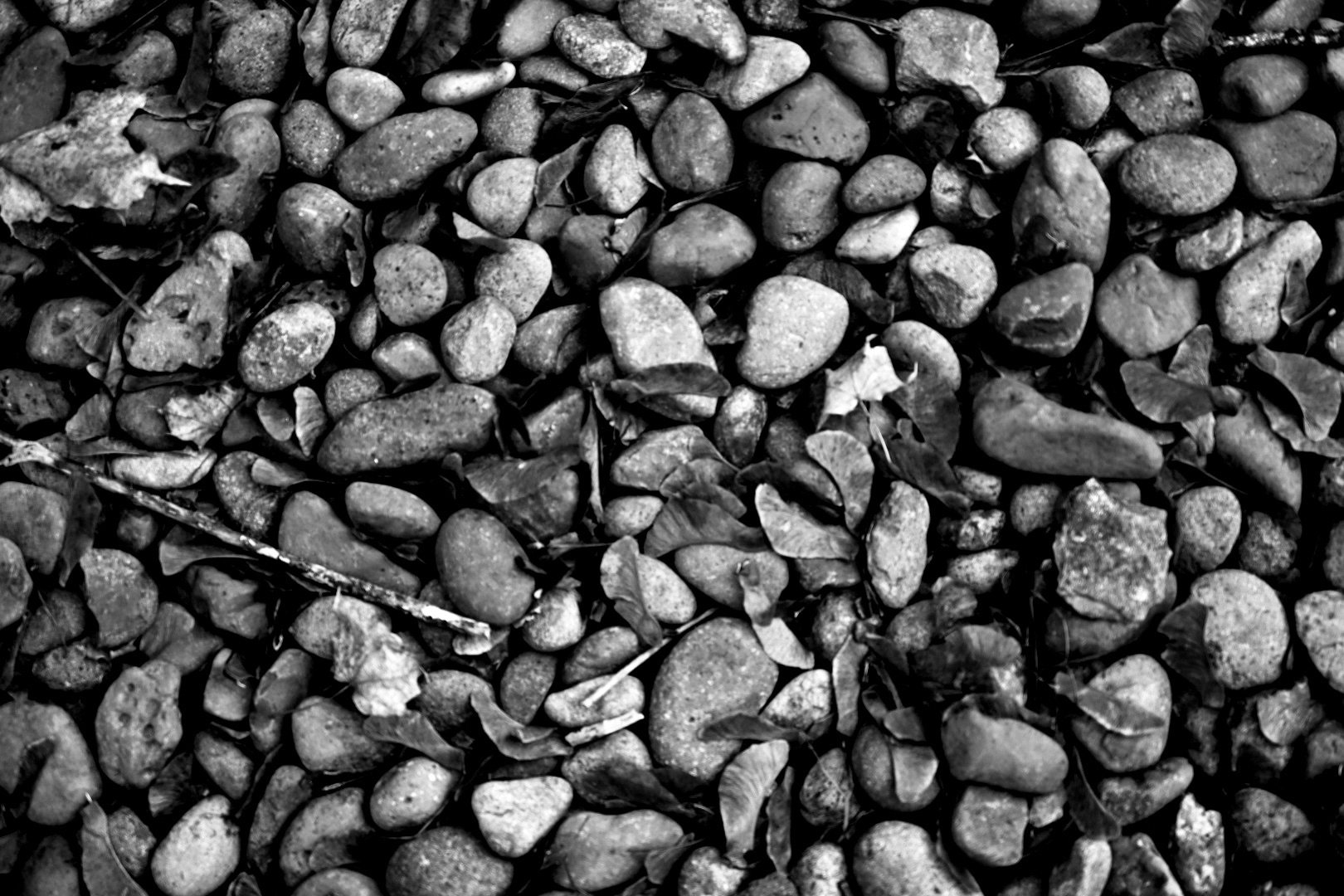 Motywacja jest z&nbsp;ciała